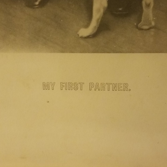 Drawing. Its name, "MY FIRST PARTNER" - Picture 4 of 8